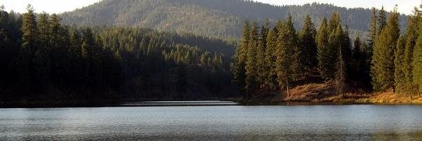 adkiewert's profile banner image