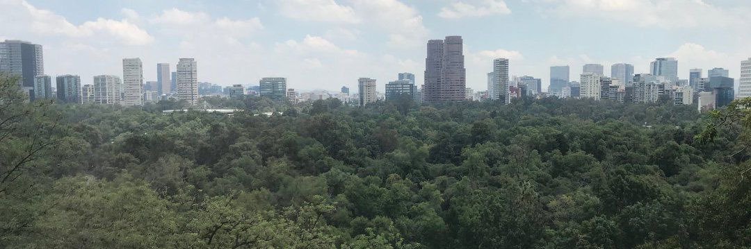 Clément Pecqueux banner