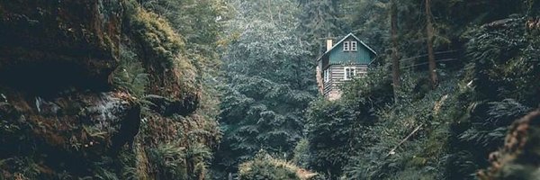 HocDolliday Profile Banner