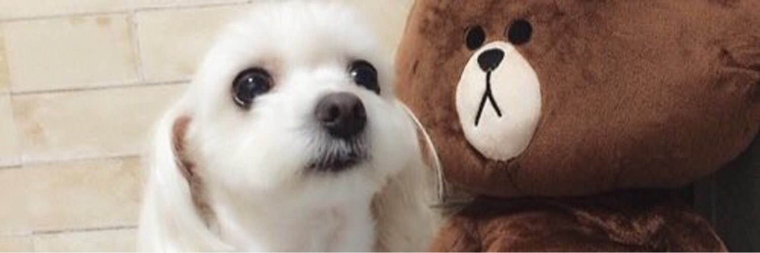 取り引き垢 banner