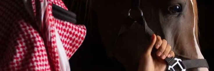 hdd71121's profile banner image