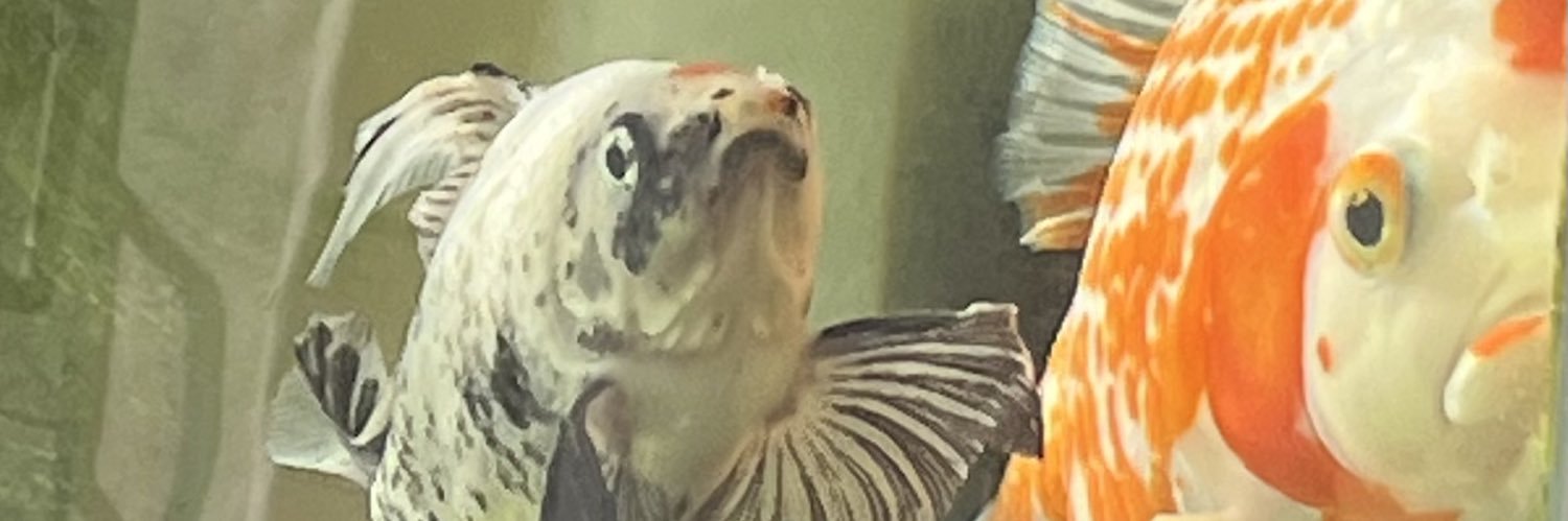 kinchanm3's profile banner image