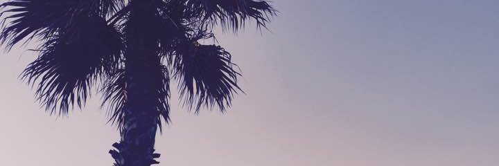 The__EB's profile banner image