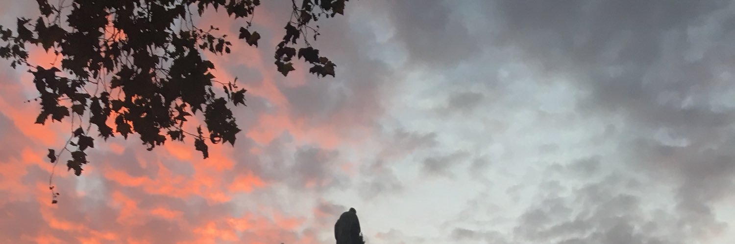 bulbfictionBG's profile banner image