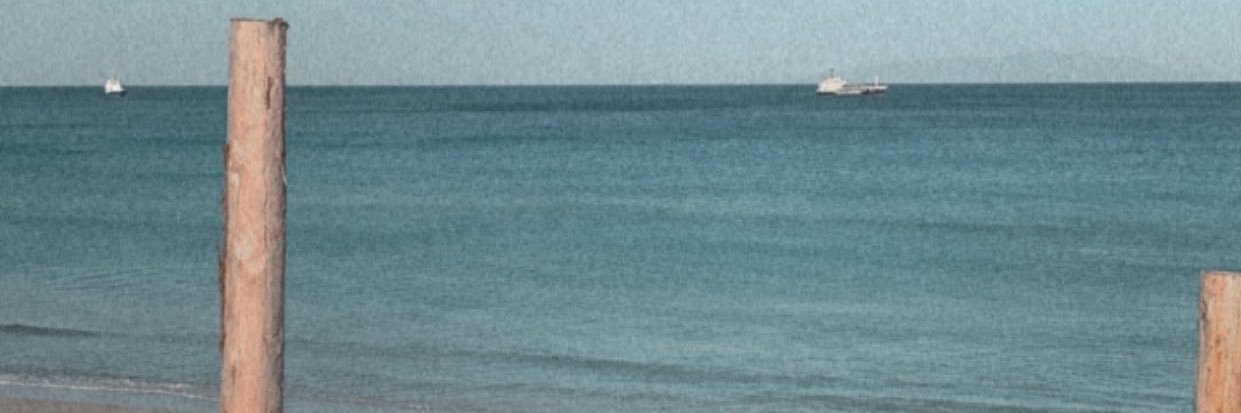 c_PNMN_'s profile banner image