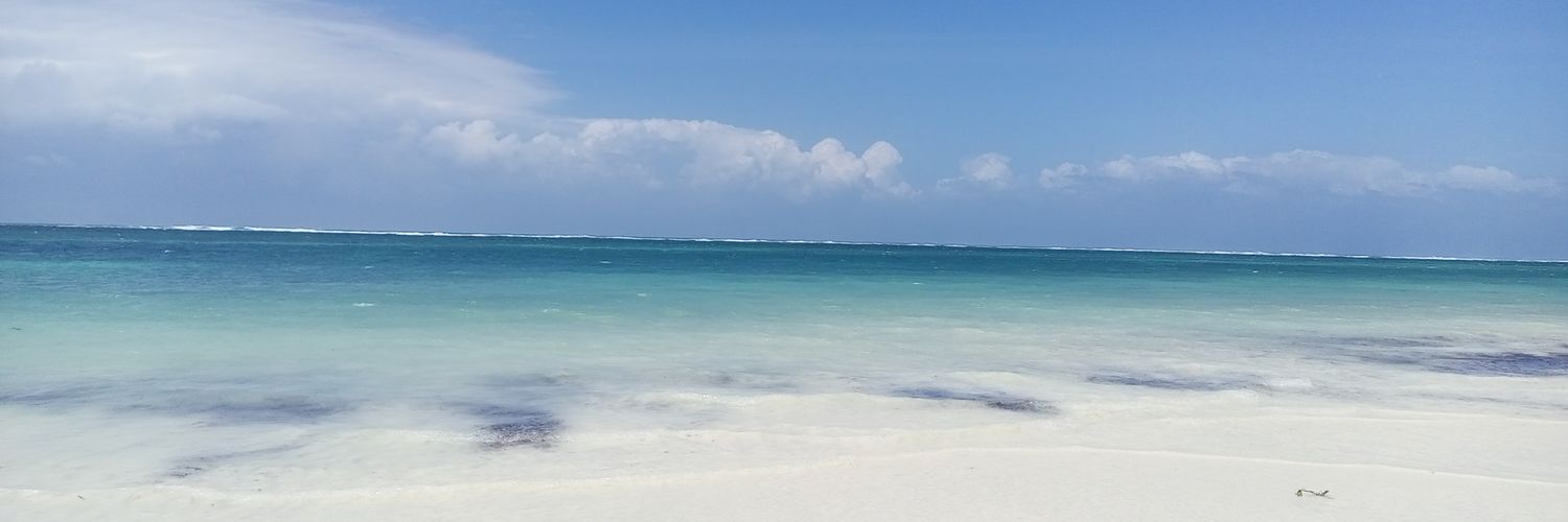 Tapkeronn's profile banner image