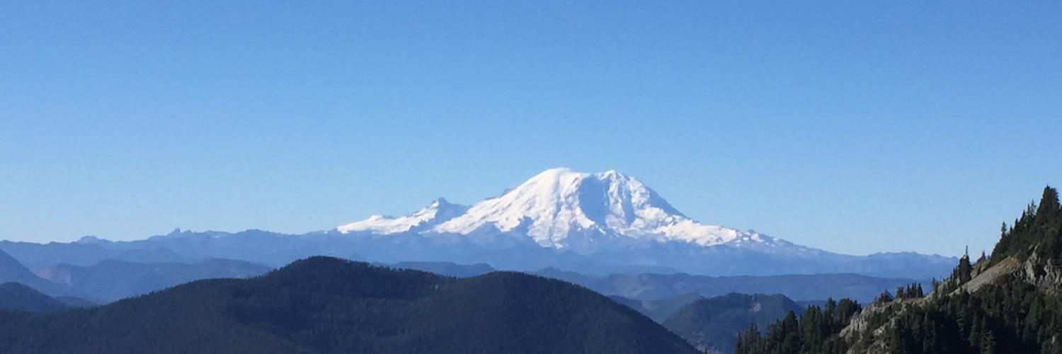 Michael Reopelle banner