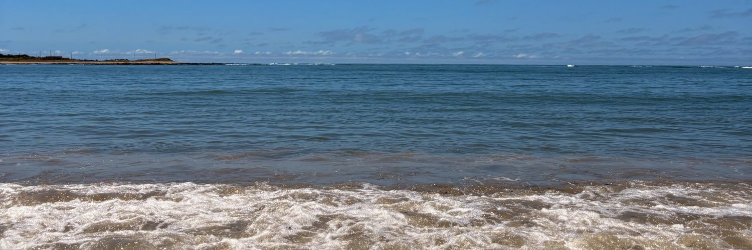 pfloor_'s profile banner image