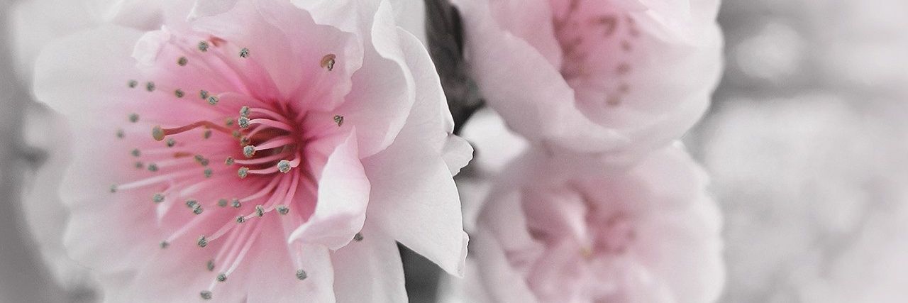 lackstuebchen's profile banner image