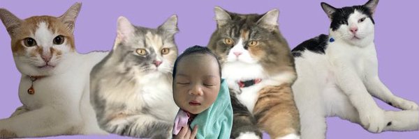 dearsln Profile Banner