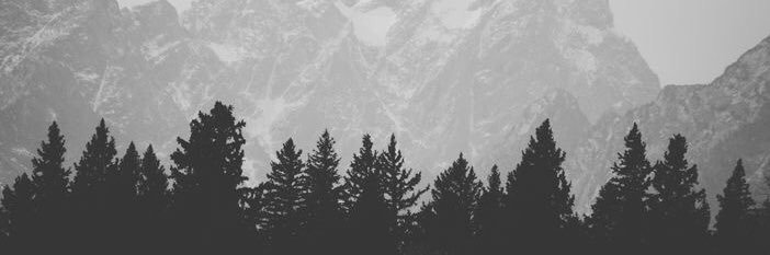 Ferff_'s profile banner image