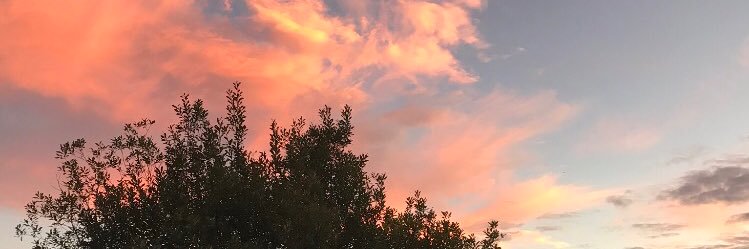 _tayybae_'s profile banner image