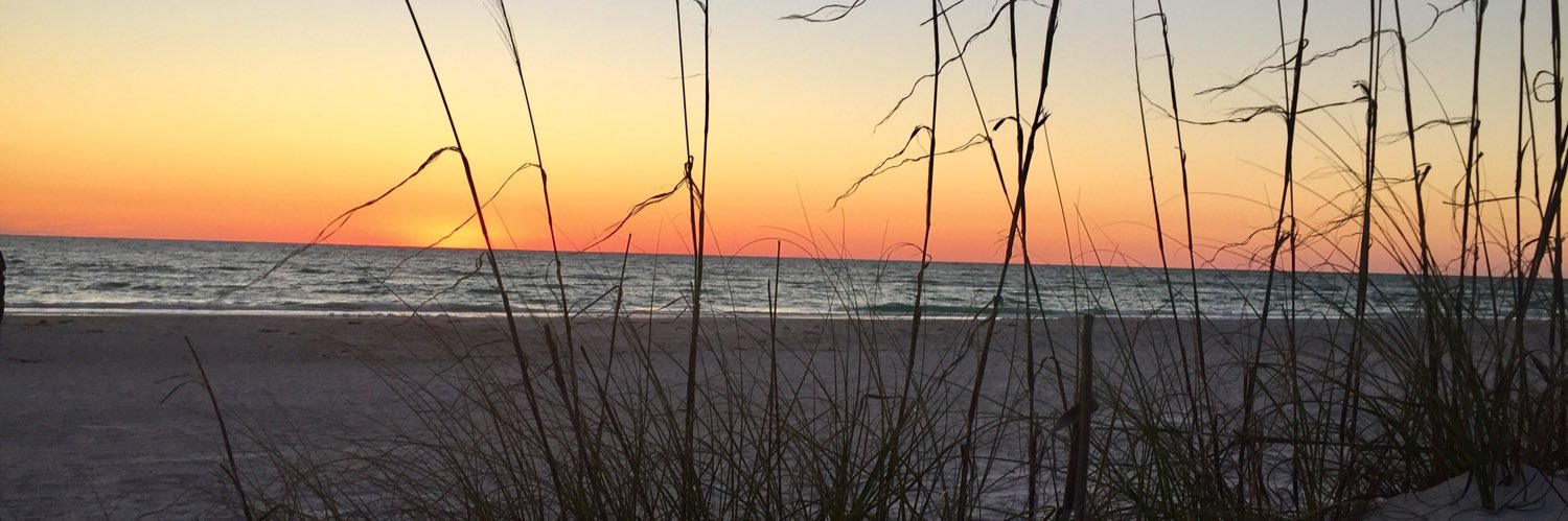 karidigg's profile banner image