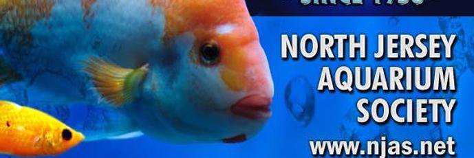 NorthJerseyAS's profile banner image