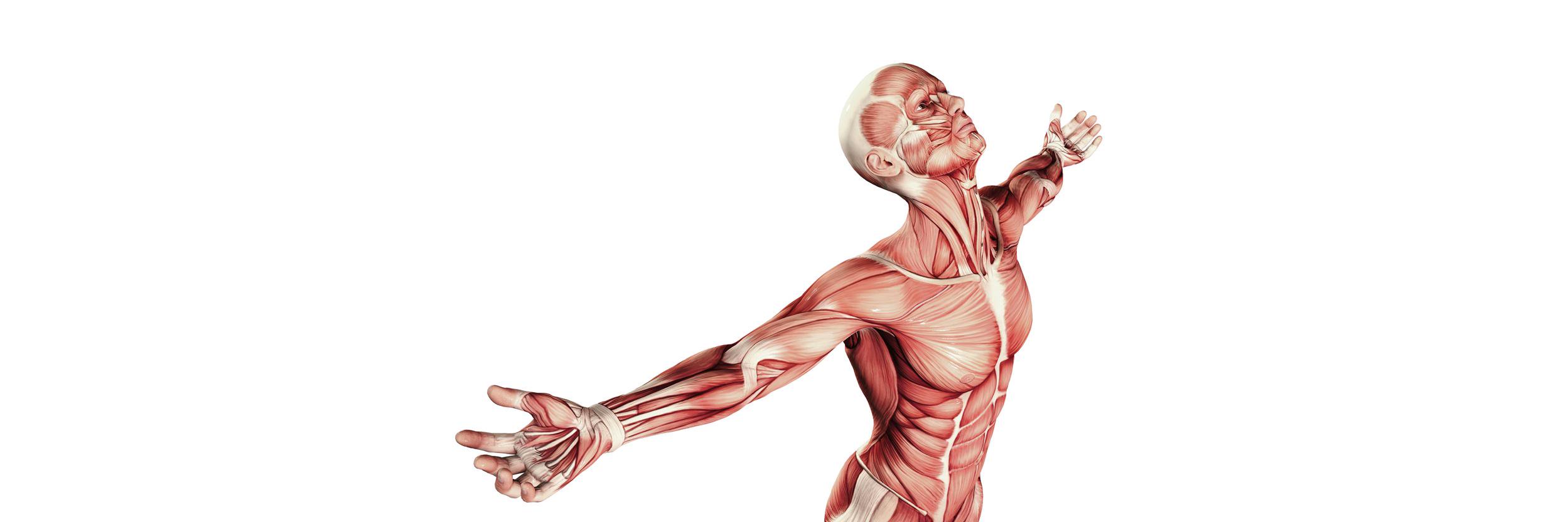 JUST4Physiothe1's profile banner image