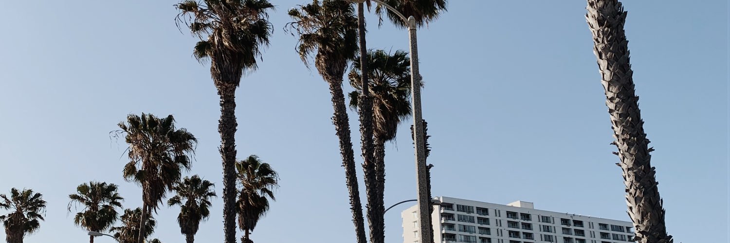 superanisaurus's profile banner image