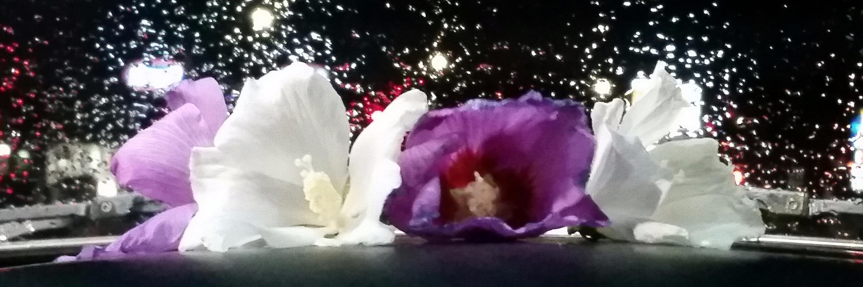 TheRollingArtSt's profile banner image