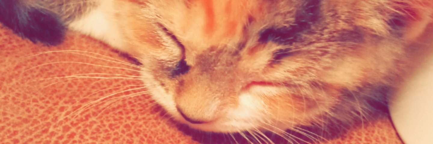 talav123's profile banner image