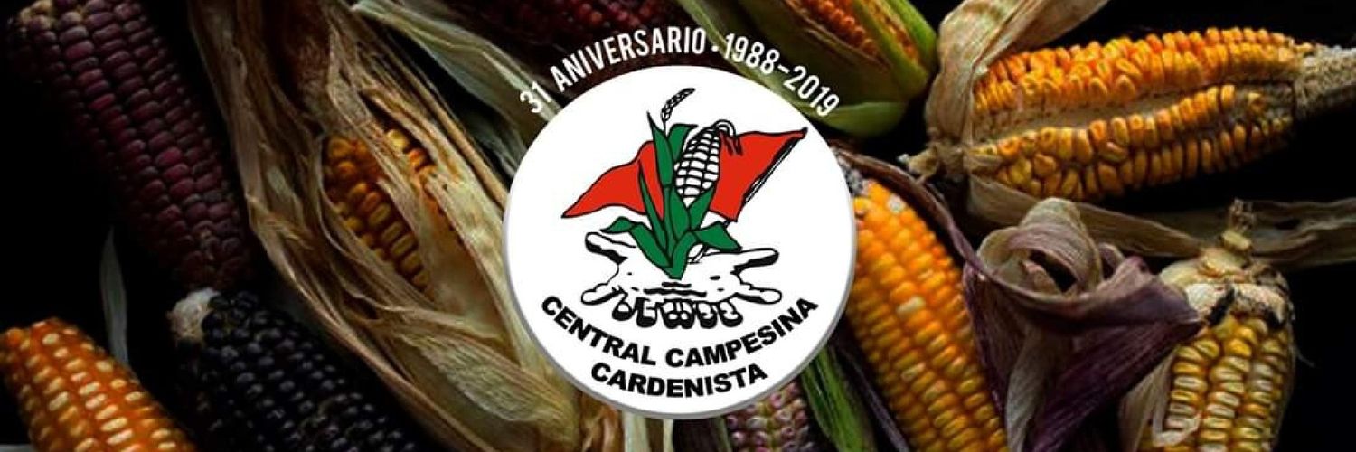 CCC_CDMX's profile banner image