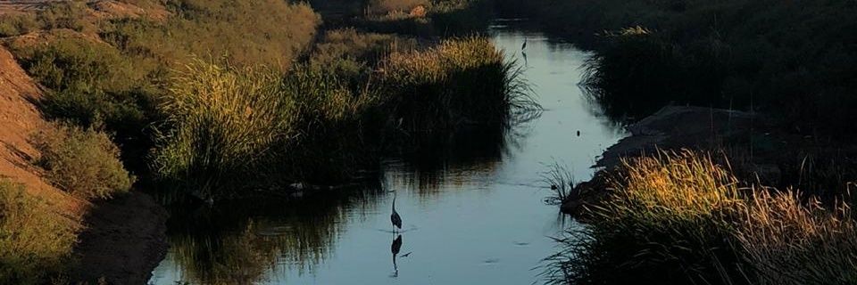 ivanalam1's profile banner image