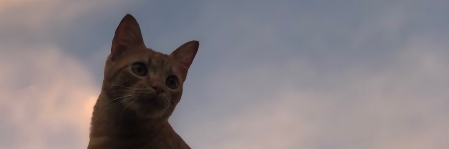 05_caarol's profile banner image