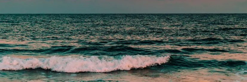 iam_rmsaniel's profile banner image