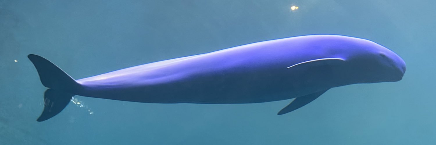tsurarachann's profile banner image