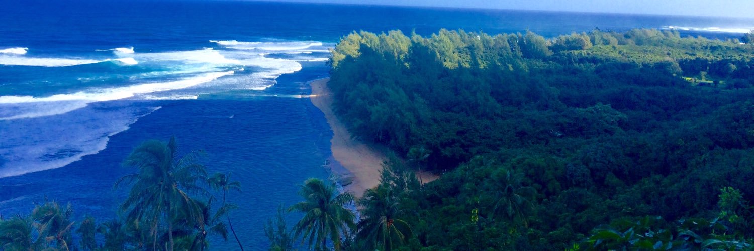 Jeanine Roser banner