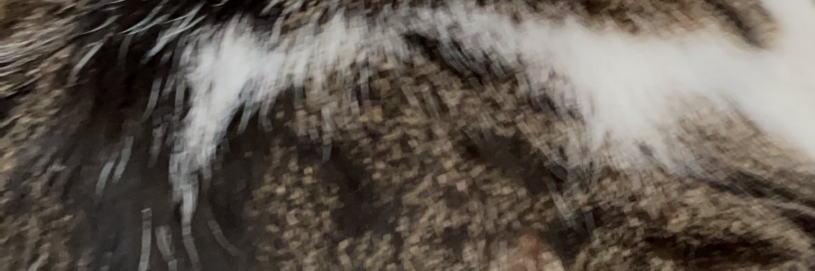 abcminira's profile banner image