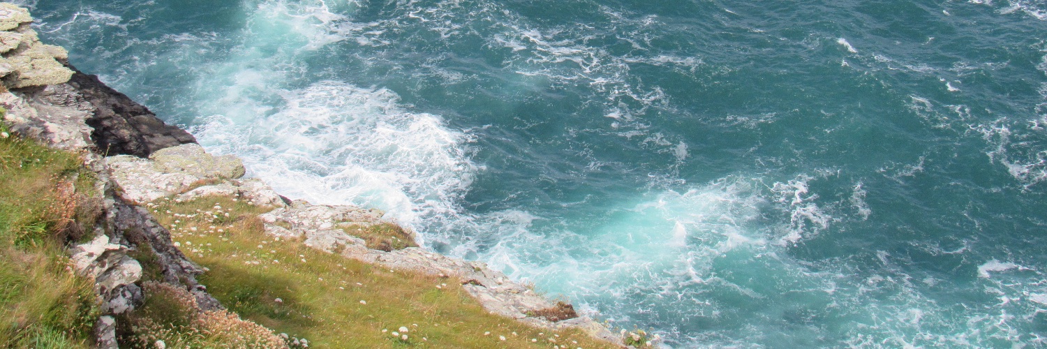 WildUK1's profile banner image