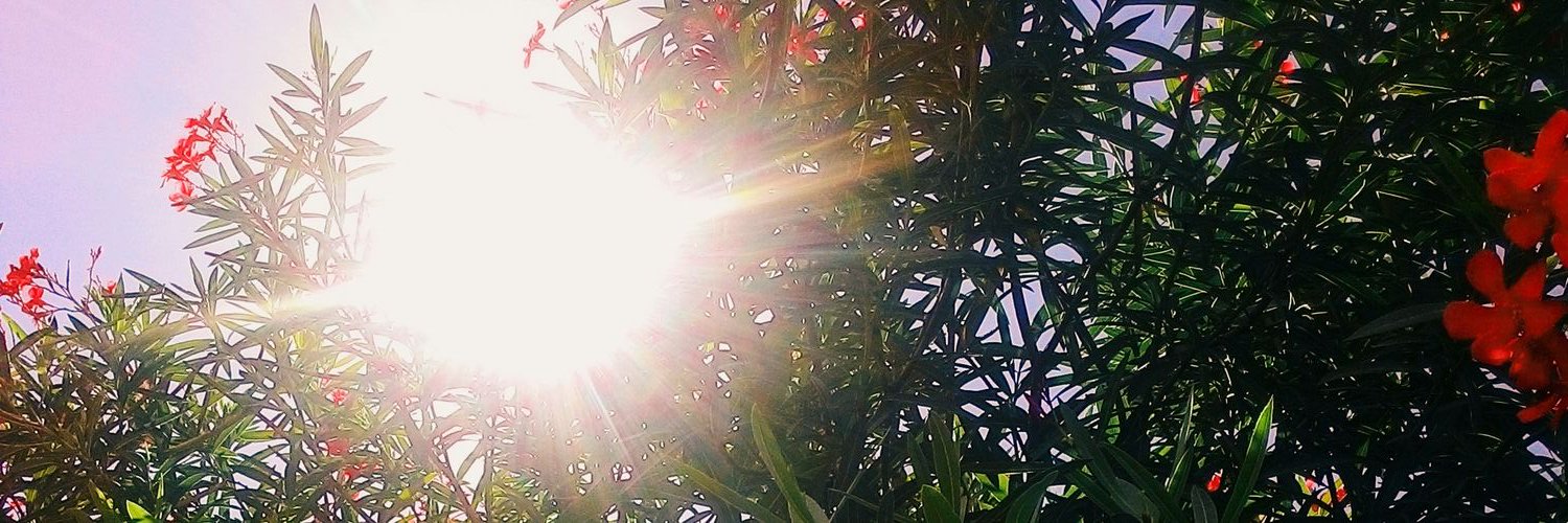 Nataliaperini's profile banner image