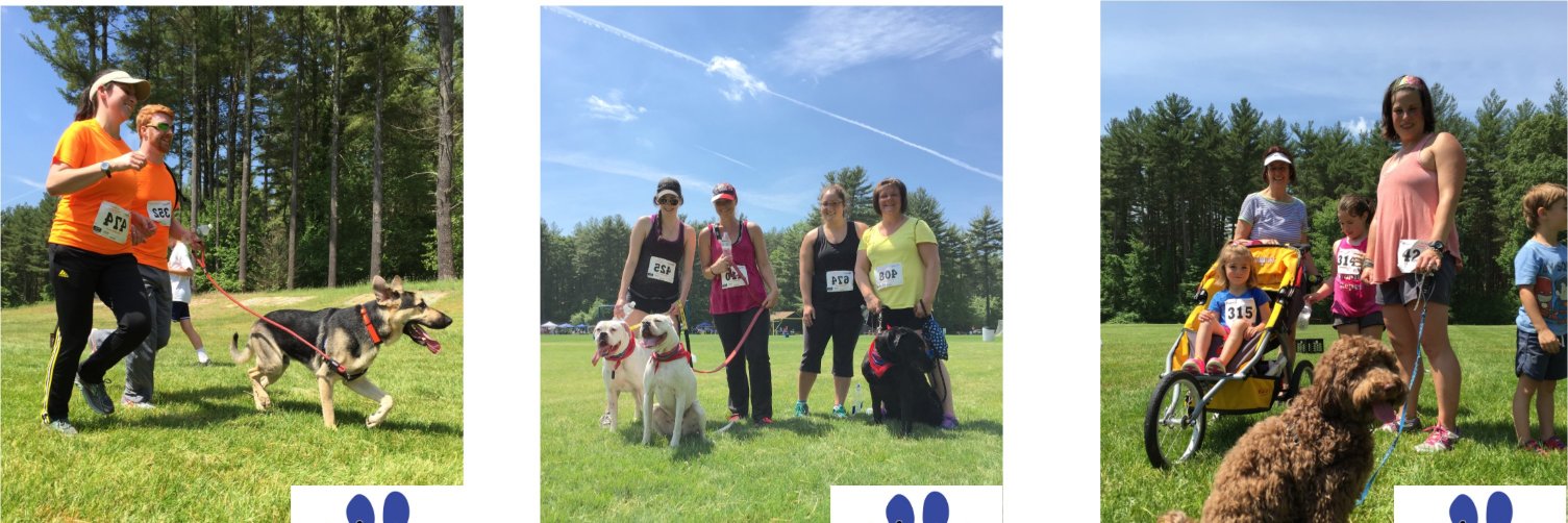 Metrowest K9 5K banner