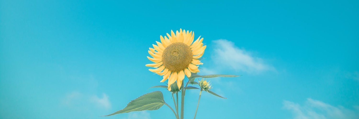 kkkaa013's profile banner image
