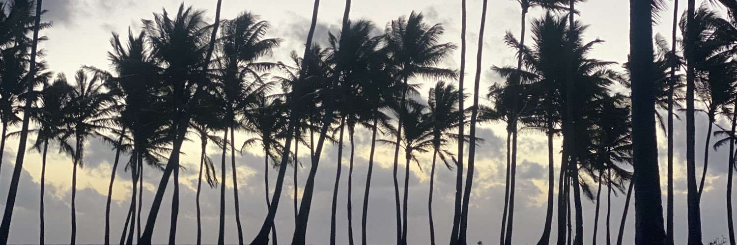 wander_lusterss's profile banner image