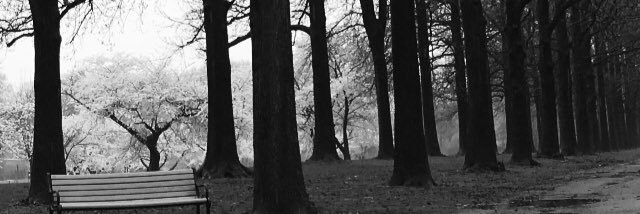 ack2394's profile banner image
