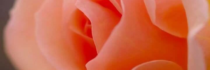 igotitAV's profile banner image