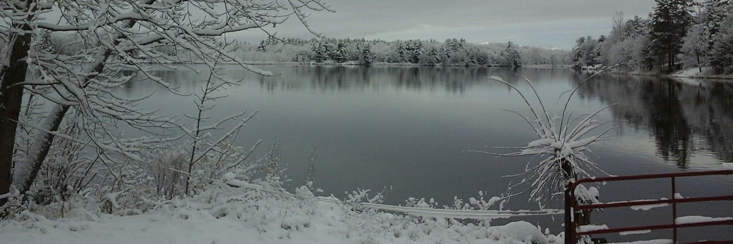 tammyclough2's profile banner image