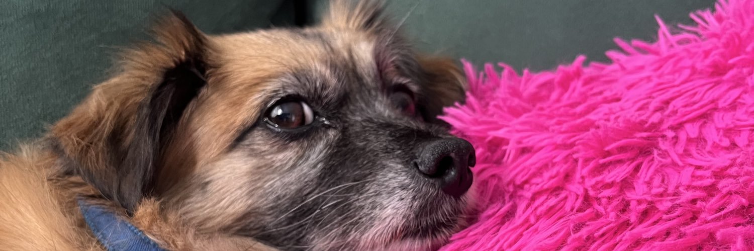 dcmkdcmbaby's profile banner image