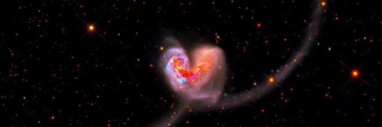 Omar Altundag banner