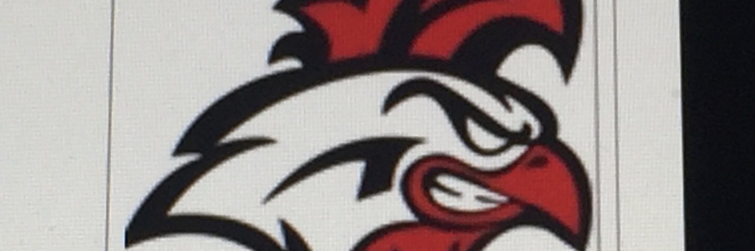 VHS School Counselor banner