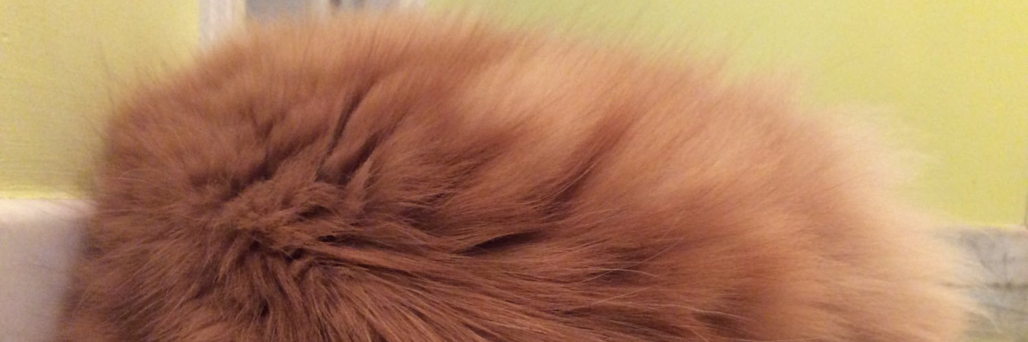 Foomly's profile banner image