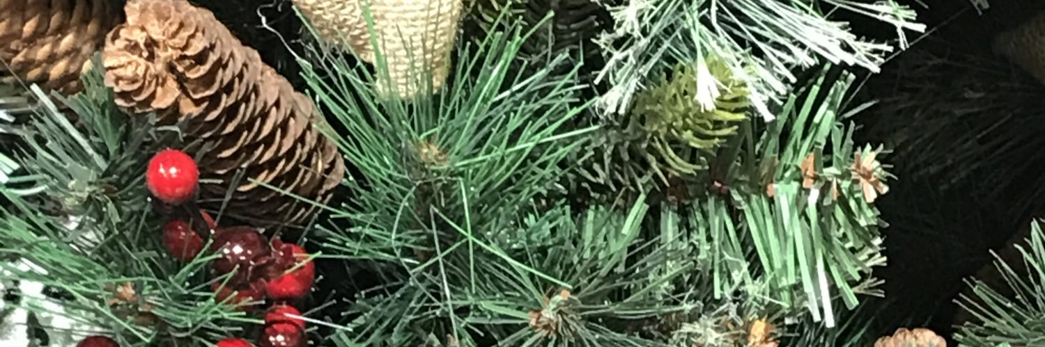 AtkinsCaro's profile banner image