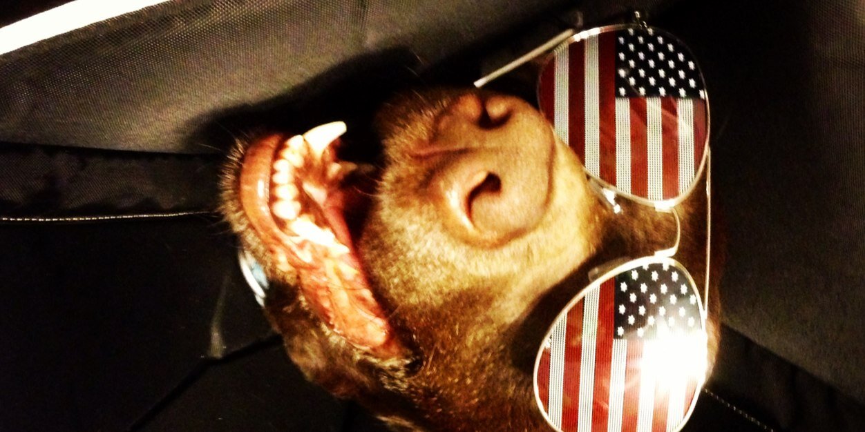 LiLDunph's profile banner image