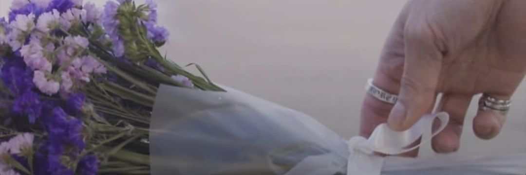 ditaarach's profile banner image