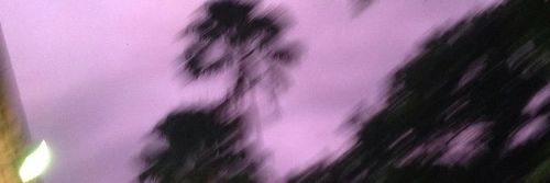 crnzaa's profile banner image