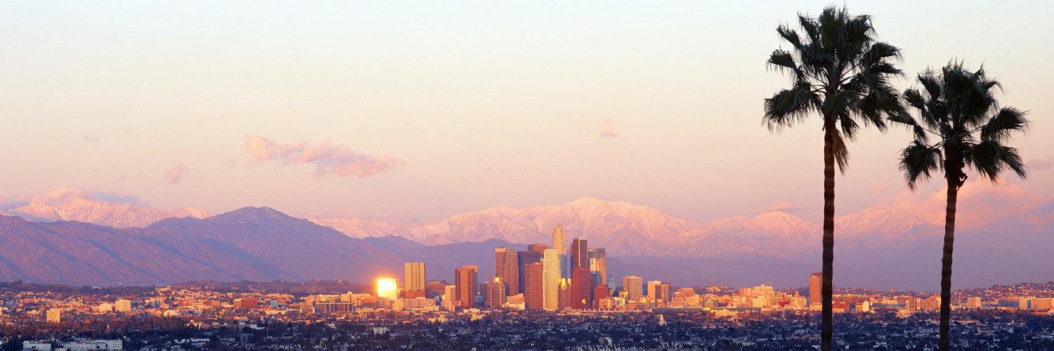 Adam Plotnik MD FSIR banner