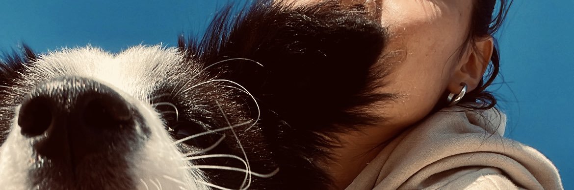 sssoffCo's profile banner image