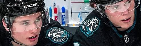 venom / mack girl wasted ✧*:･ﾟ☽🏒🦈 banner
