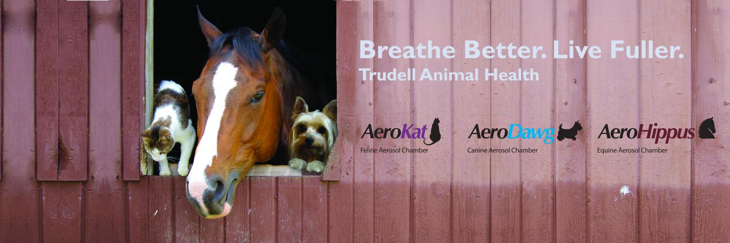 TMIAnimalHealth's profile banner image