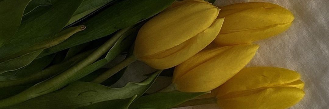 thebrrokoli's profile banner image